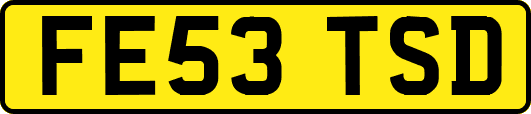 FE53TSD
