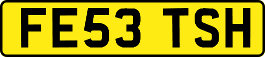 FE53TSH