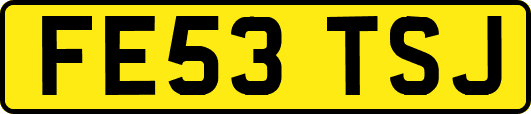 FE53TSJ