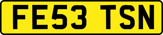 FE53TSN