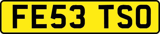 FE53TSO