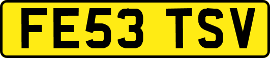 FE53TSV