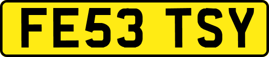 FE53TSY