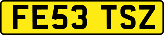 FE53TSZ