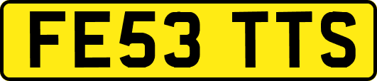 FE53TTS