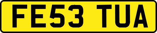 FE53TUA