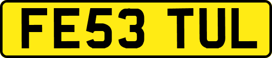 FE53TUL