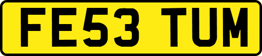 FE53TUM