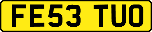 FE53TUO