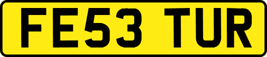 FE53TUR