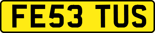 FE53TUS