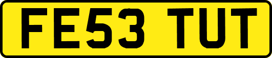 FE53TUT