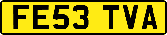FE53TVA