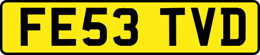 FE53TVD
