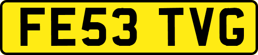 FE53TVG