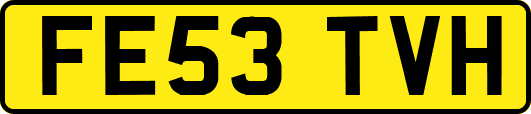 FE53TVH