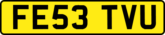 FE53TVU