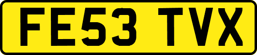 FE53TVX