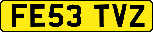 FE53TVZ