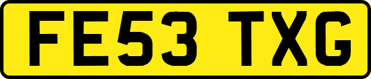 FE53TXG