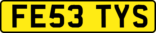 FE53TYS