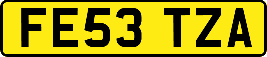 FE53TZA