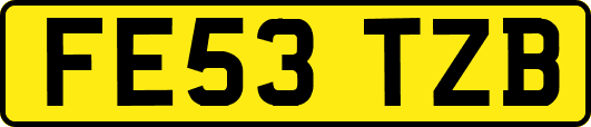FE53TZB