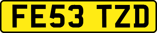 FE53TZD