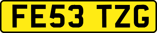 FE53TZG