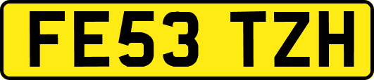 FE53TZH