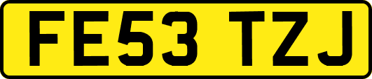 FE53TZJ