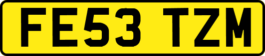 FE53TZM