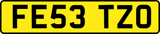 FE53TZO