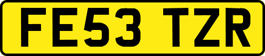 FE53TZR