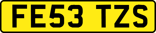 FE53TZS