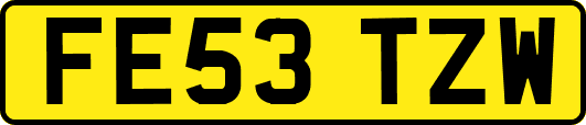 FE53TZW