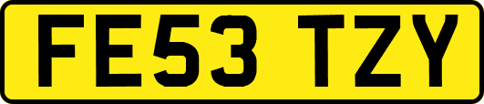 FE53TZY