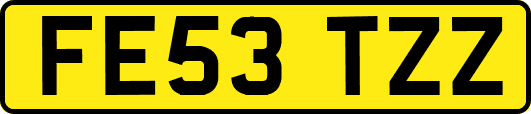 FE53TZZ