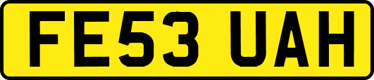 FE53UAH
