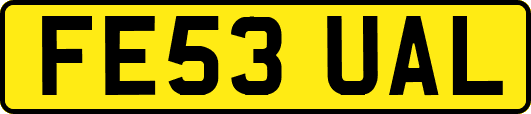 FE53UAL