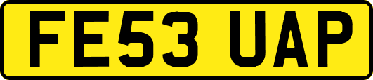 FE53UAP