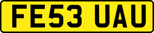 FE53UAU