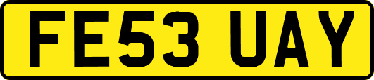 FE53UAY