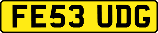 FE53UDG