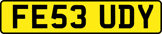 FE53UDY