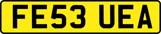 FE53UEA