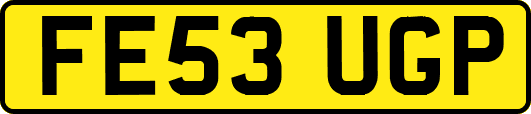 FE53UGP