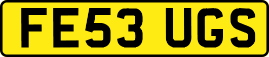 FE53UGS