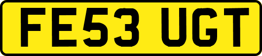 FE53UGT