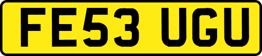 FE53UGU